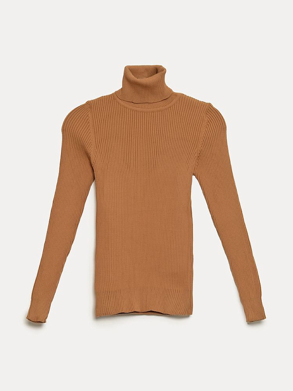 Водолазка (14382) 